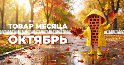 Создайте выразительный фасад дома на особенно выгодных условиях. «Товар месяца» BRAER