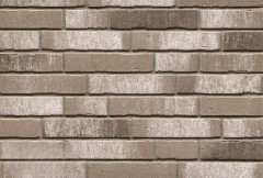 Клинкерная плитка для фасада FELDHAUS KLINKER R771DF14 Vascu argo cremato
