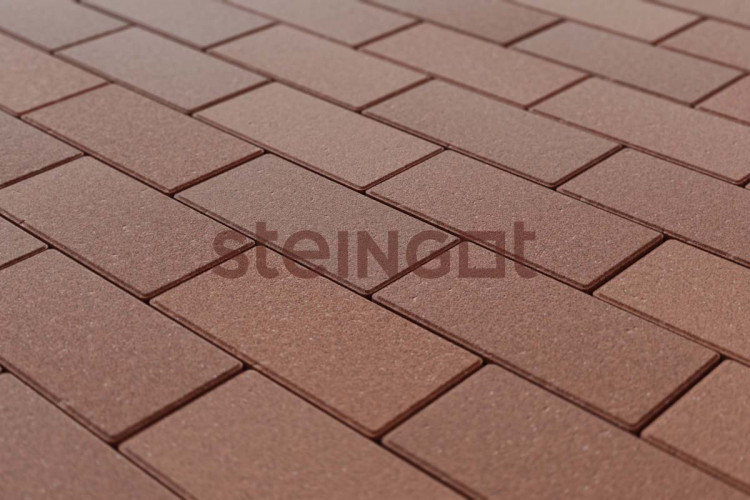 Тротуарная плитка Steingot Прямоугольник 200*100 Коричневая (верхний прокрас, минифаска) 60 мм
