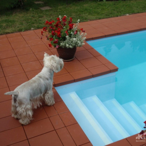 Клинкерная напольная плитка Stroeher Keraplatte Terra 215 patrizierrot, 240x115x10