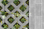 Тротуарная плитка Steingot Газонная решетка Серая 100 мм
